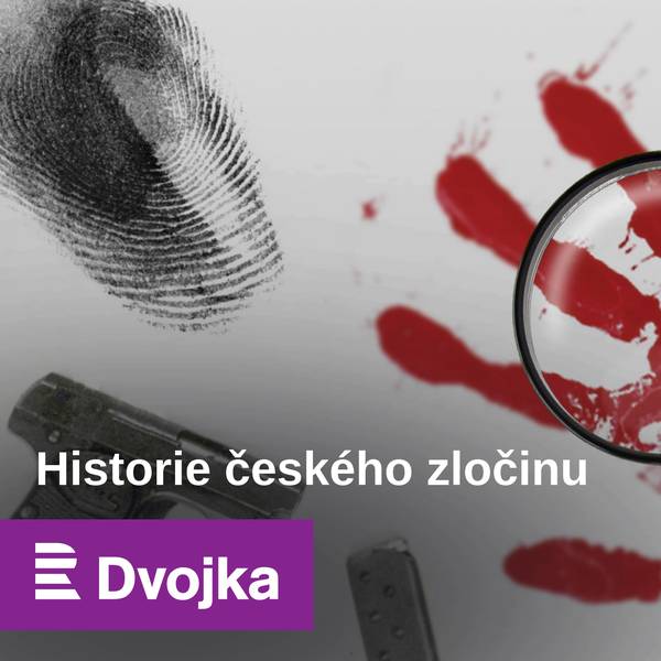 Historie českého zločinu